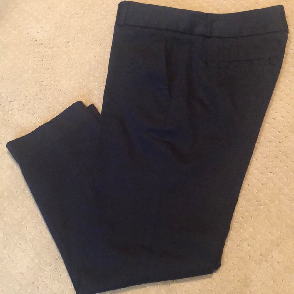 NWOT Banana Republic Cropped Navy Pants